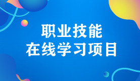 职业技能在线学习项目